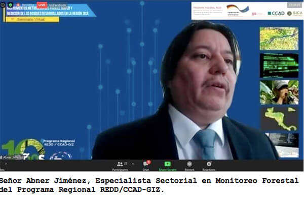 marena-en-seminario-sobre-metodologias-mapeo-de-bosques